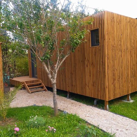 La Cabane Du Figuier A Rambouillet Kültér fotó